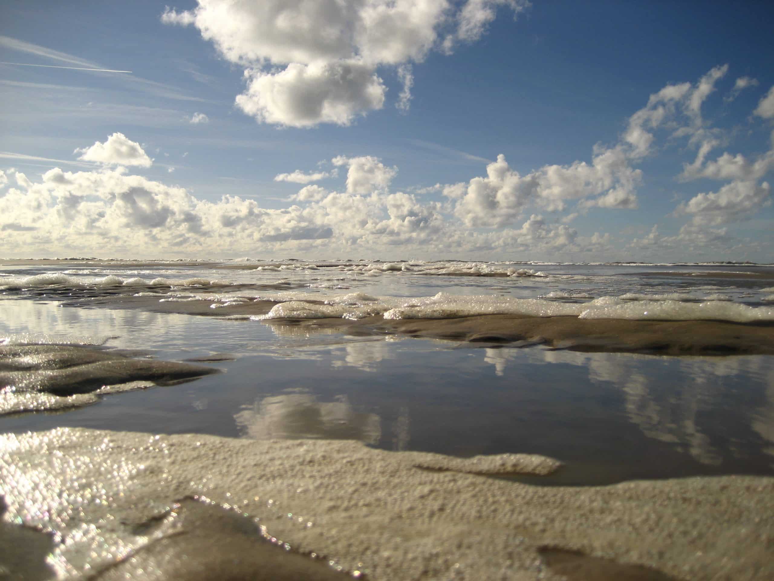 wadden picture